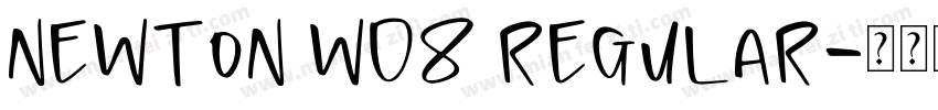 Newton W08 Regular字体转换